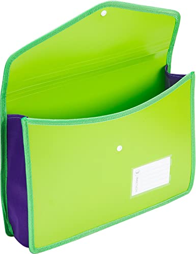 MOC Transparent A4/FC Size Document File Storage Bag with Snap Button for  Certificates/Legal Documents (Set of 1) (Random Color) : Amazon.in: Office  Products